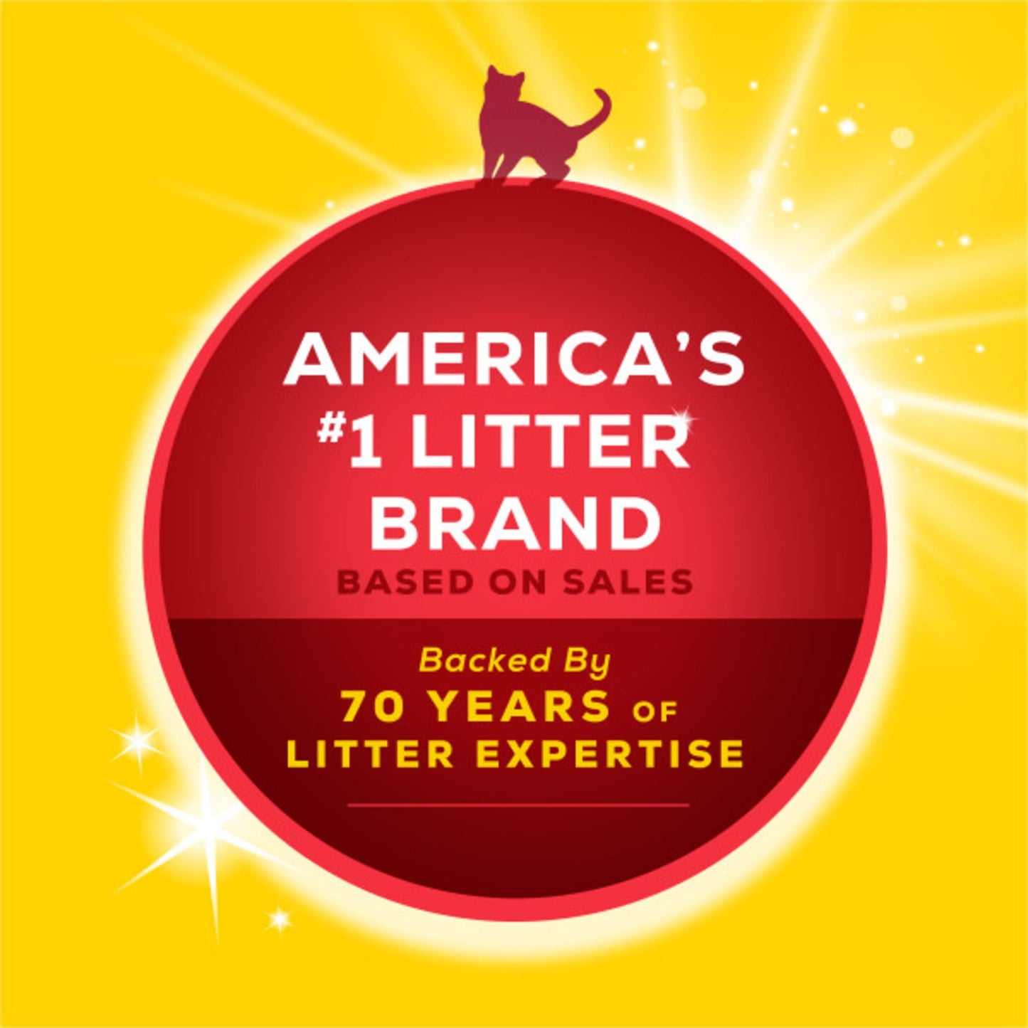 (2 Pack) Purina 24/7 Clumping Cat Litter, Low Dust, Deodorizing, 20 Lb. Jug