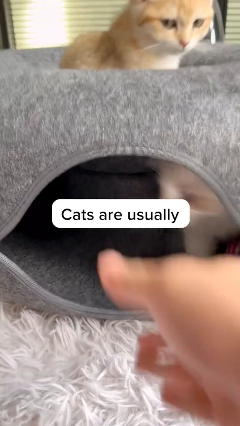 Peekaboo Cat Cave EXTRA LARGE Cat Tunnel Bed Indoor Cats, Cat Donut,Gray, USA